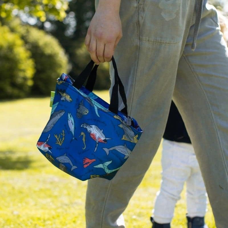 Еко-Шик Лесно Сгъваема чанта за Обяд | Водоустойчив Изолирано чанта-хладилник за работа/Пикници/Туризъм/барбекю в къмпинг|, Произведени от Рециклирани пластмасови