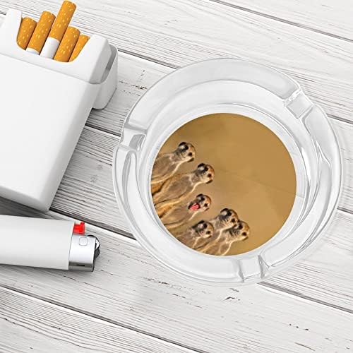 Стъклен Пепелник Meerkats за Цигари и Пури Класически Кръгли Пепелници от Прозрачен Кристал