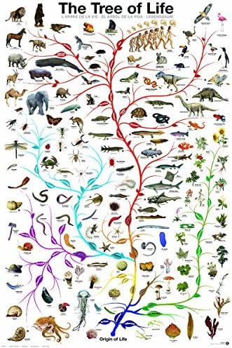 Снимка амбулантен търговец Еволюцията на Дървото на живота Новост Биология Научна диаграма Образование Печатни
